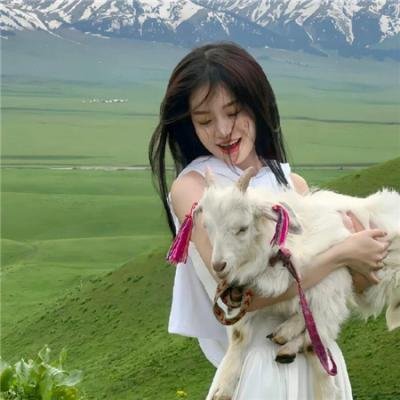 追杀骑师